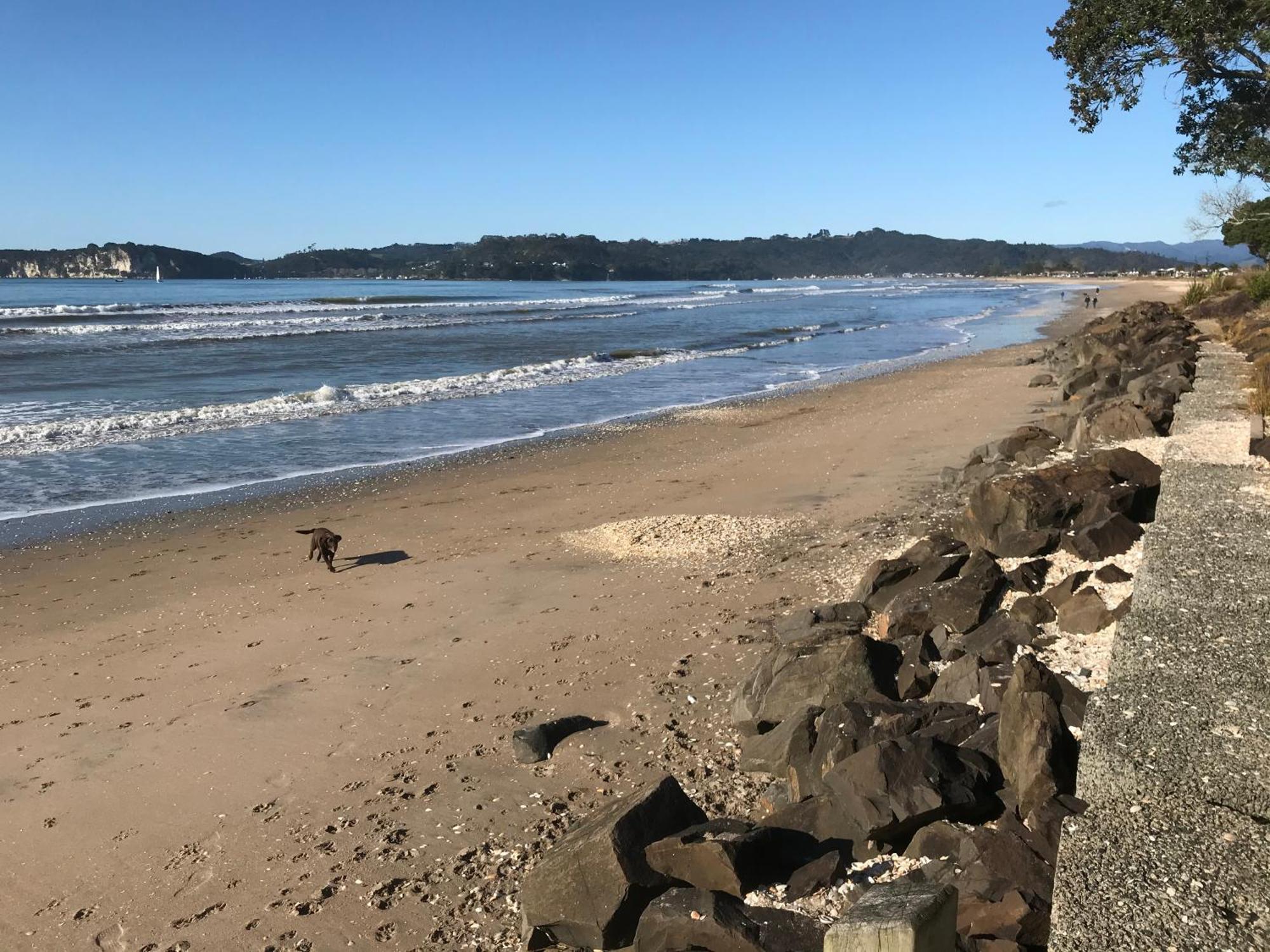Whitianga Campground Eksteriør bilde